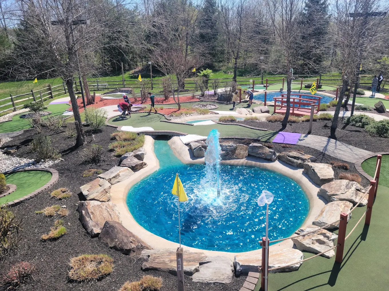 Fountain pond with yellow flag